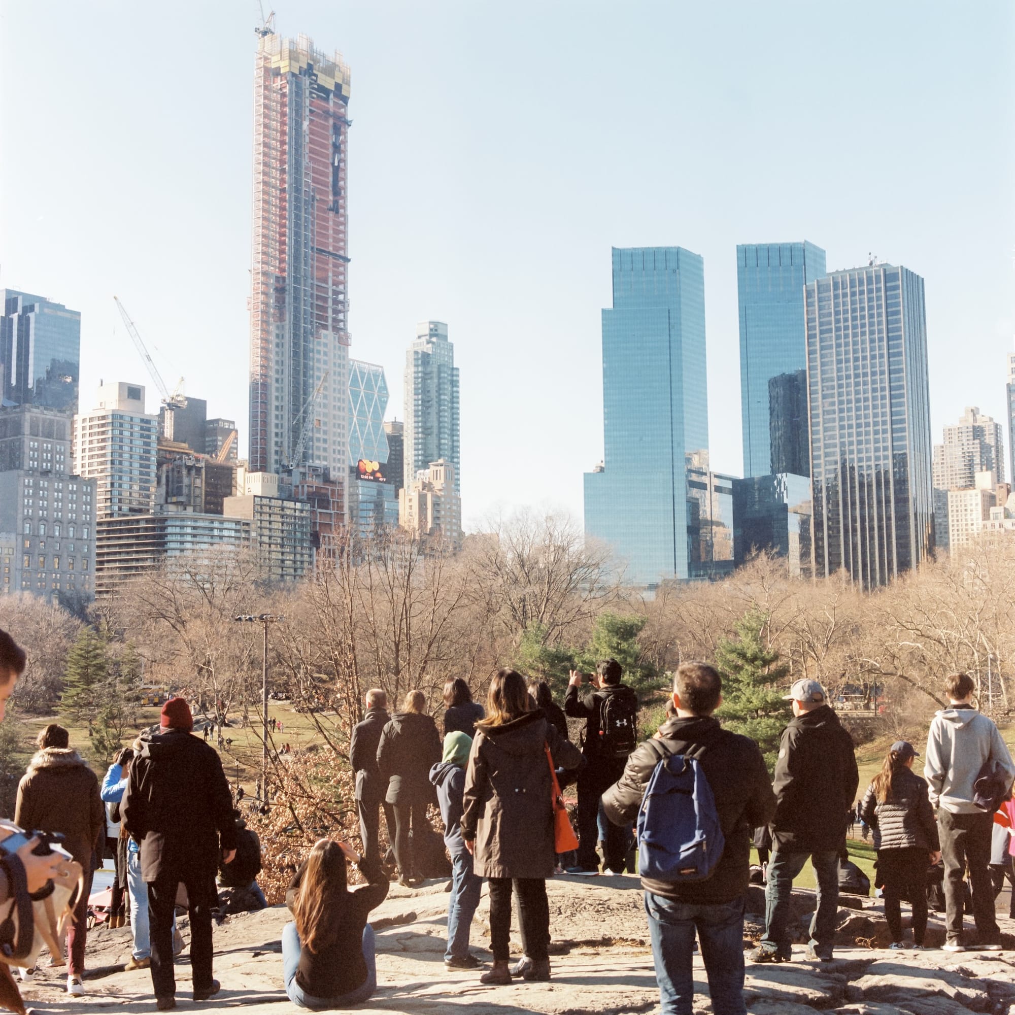 People standing in Central Park, NYC, looking at the skyline of skyscrapers seemingly growing out the treeline.