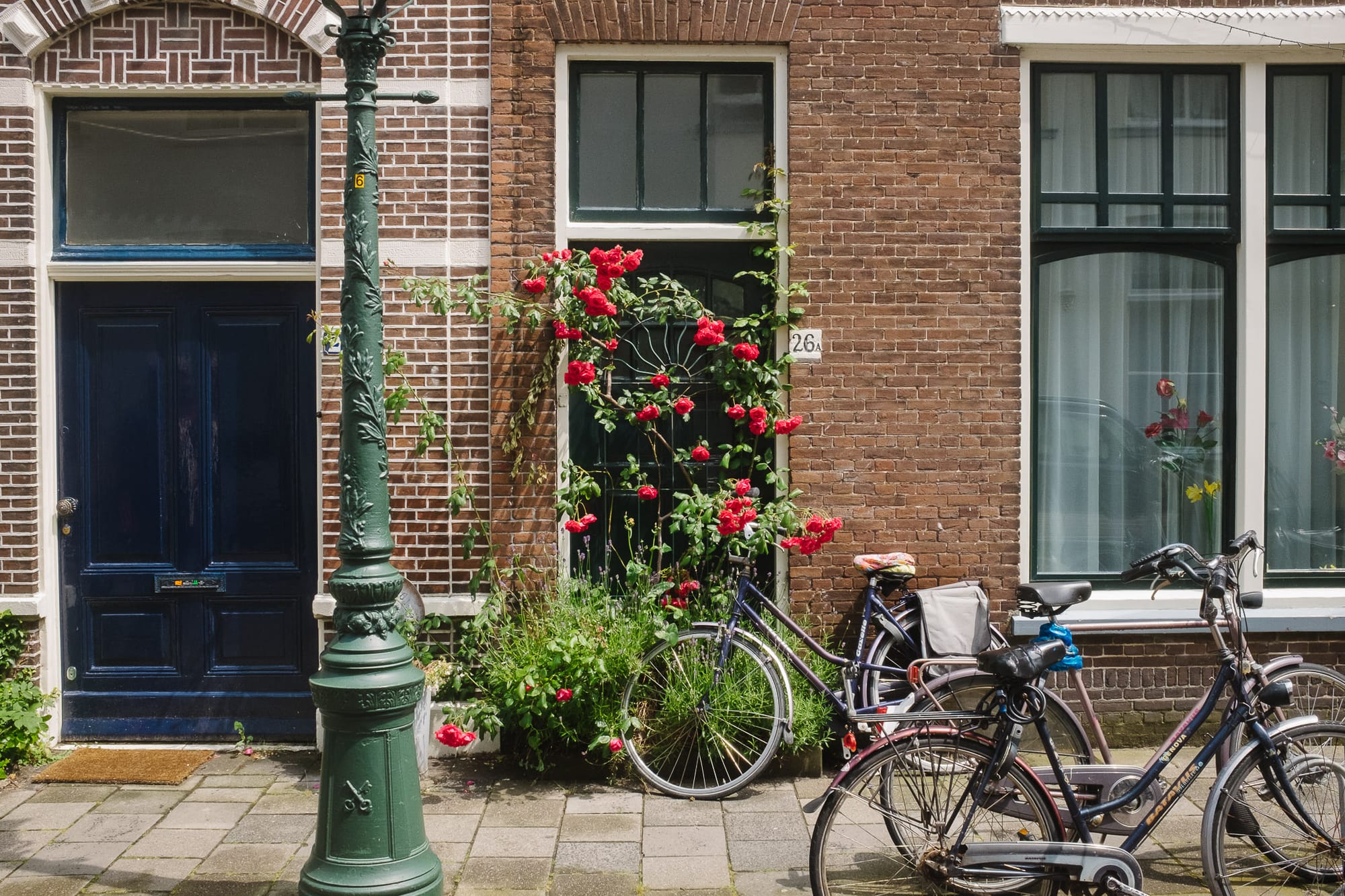 A tall red flowering bush blocks a doorway. There are bicycles parked next to it.