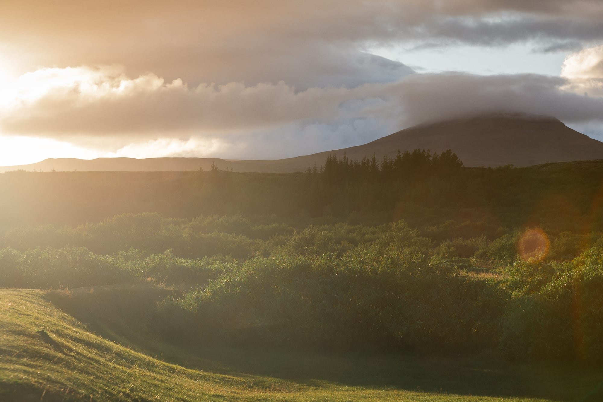 The sun sets to the left of the camera creating soft flare over the landscape. Bushes and trees glow in the evening light and there is a mountain in the distance.