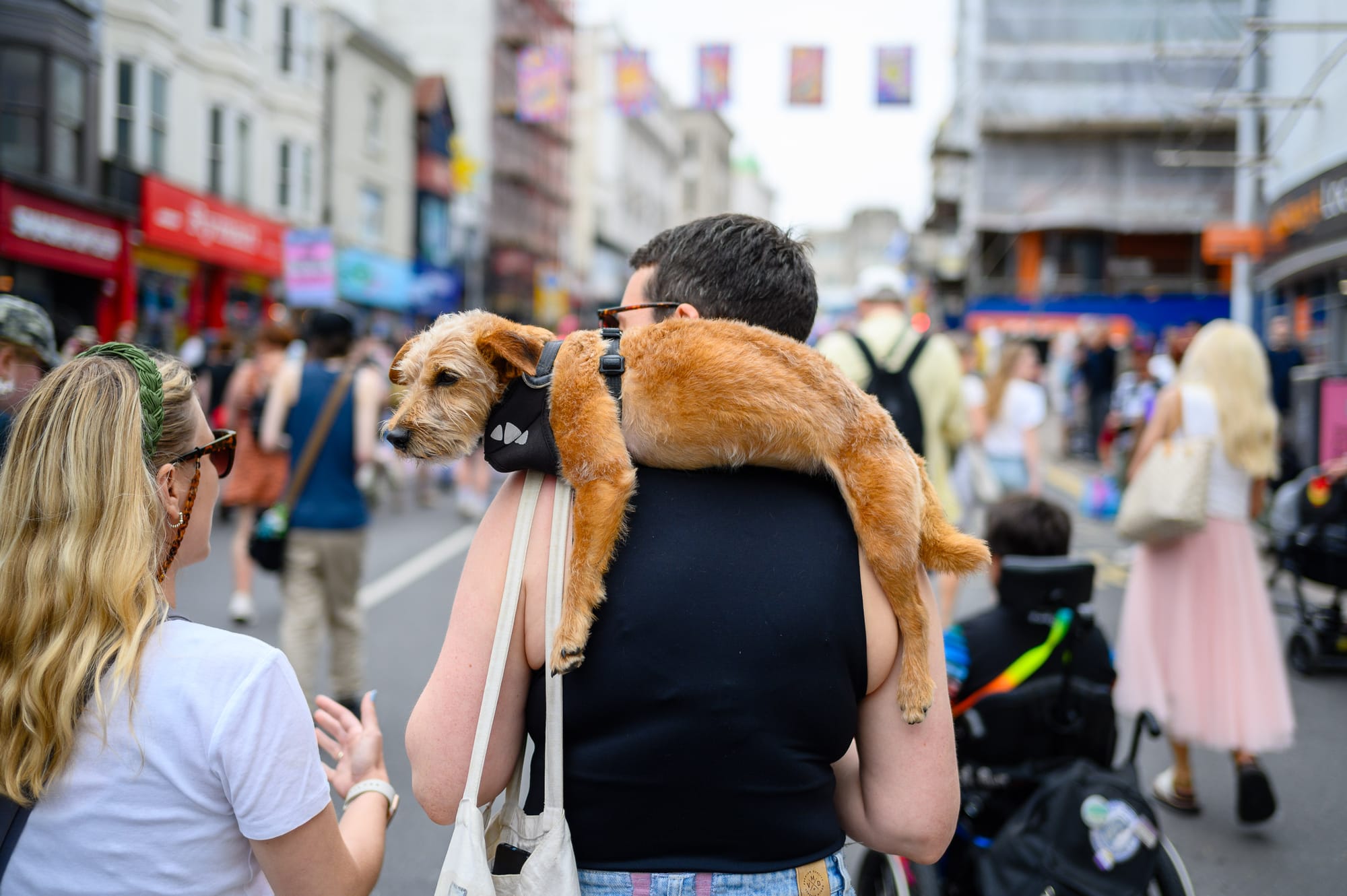 A male bodied person rests their dog over their shoulders with the dogs front and back leg draped down their back.