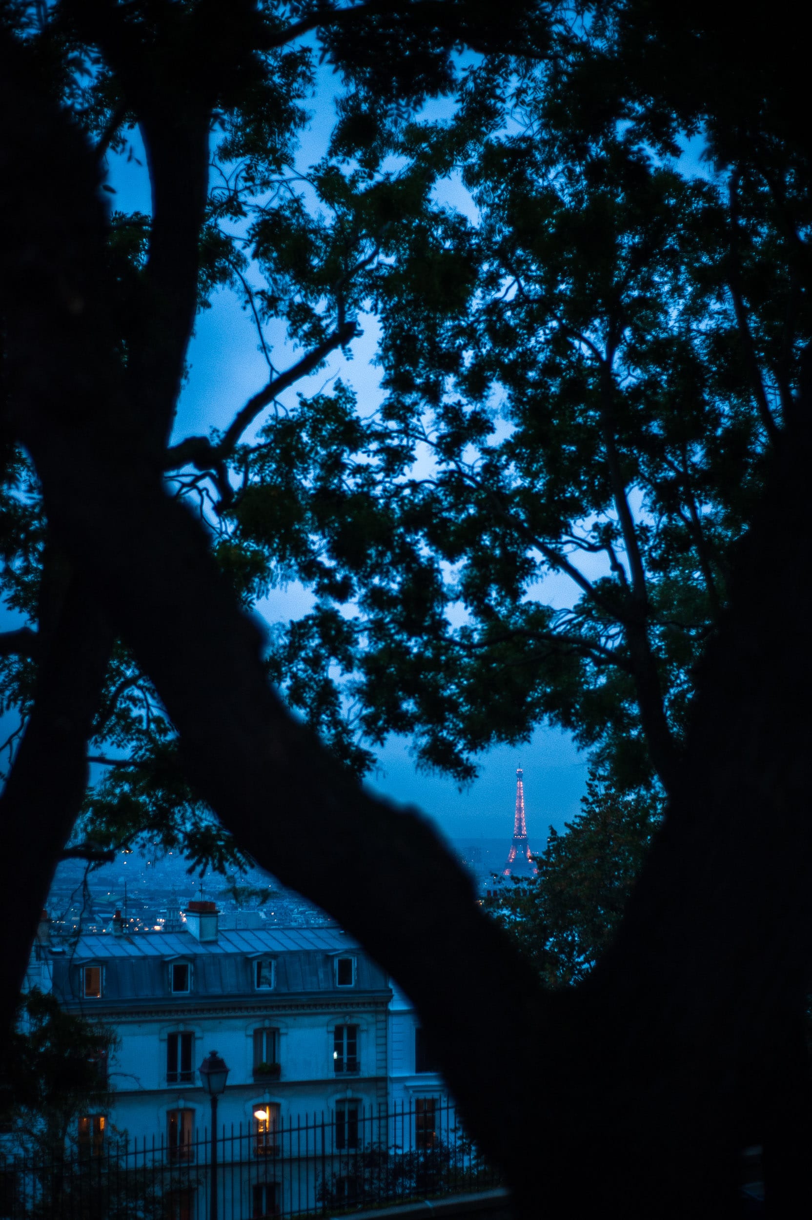 At dusk, through some trees, is the Eiffel Tower sparkling with its custom light setup.