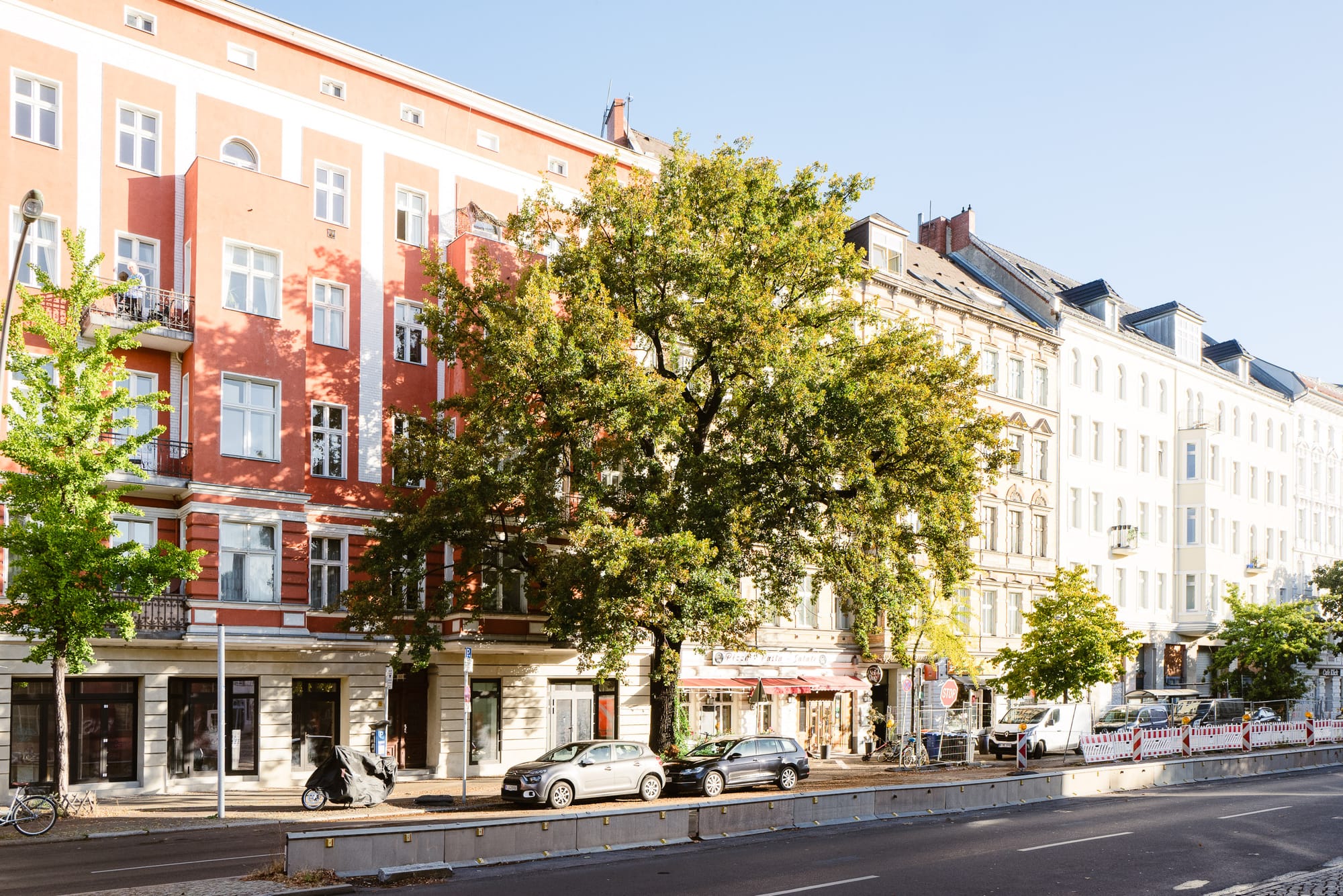 A big green tree sits outside a row of 5 storey homes in Berlin. It's sunny.