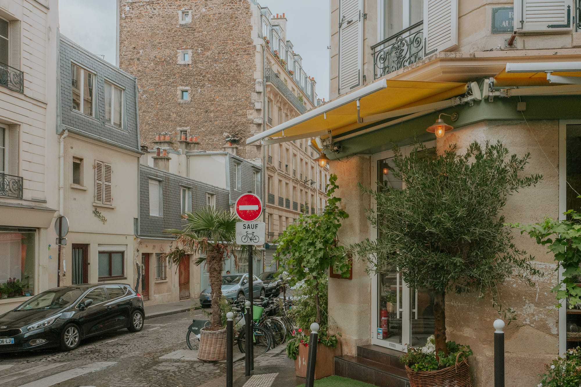 Green plants hang from outside a cafe on the corner of a street in Paris. Bikes are parked outside and there are cars on the street.