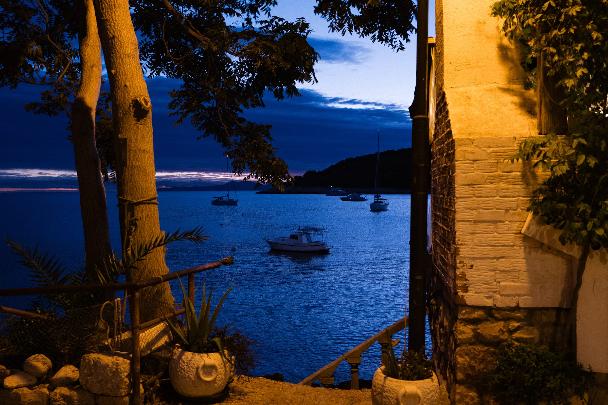 An overhead street light tints a tree and building yellow. In the distance, a few boats are resting in a bay at dusk.