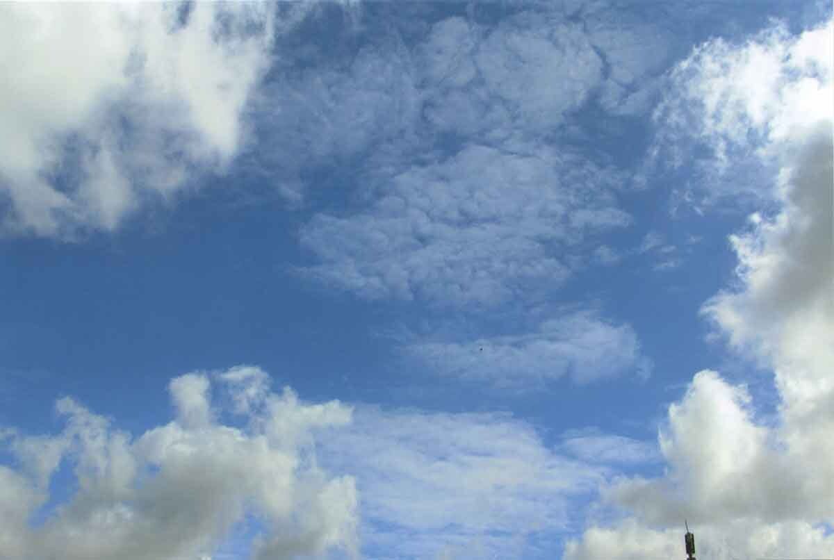 Looking up at a big blue sky filled with fluffy clouds.