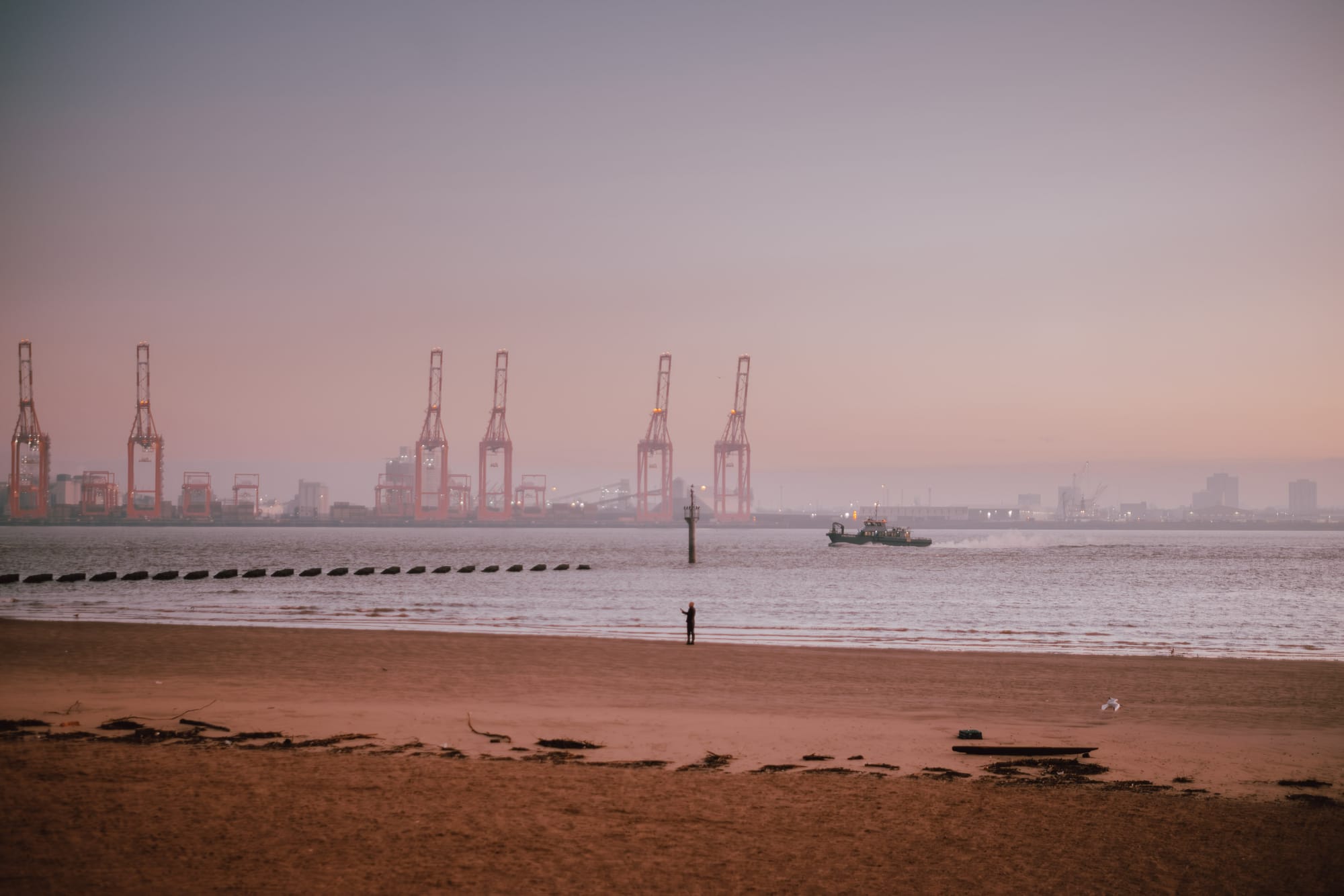 A beach scene at dusk with a solitary person standing on the sand. In the background, there are several large cargo cranes and a boat navigating the water. The shoreline has wooden barriers and some scattered debris.