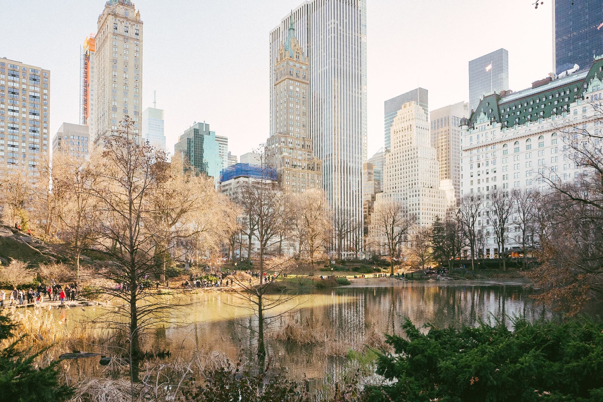 A pond in Central Park, New York City, with tall buildings in the background. Bare trees line the pond, and people are gathered along the shore.