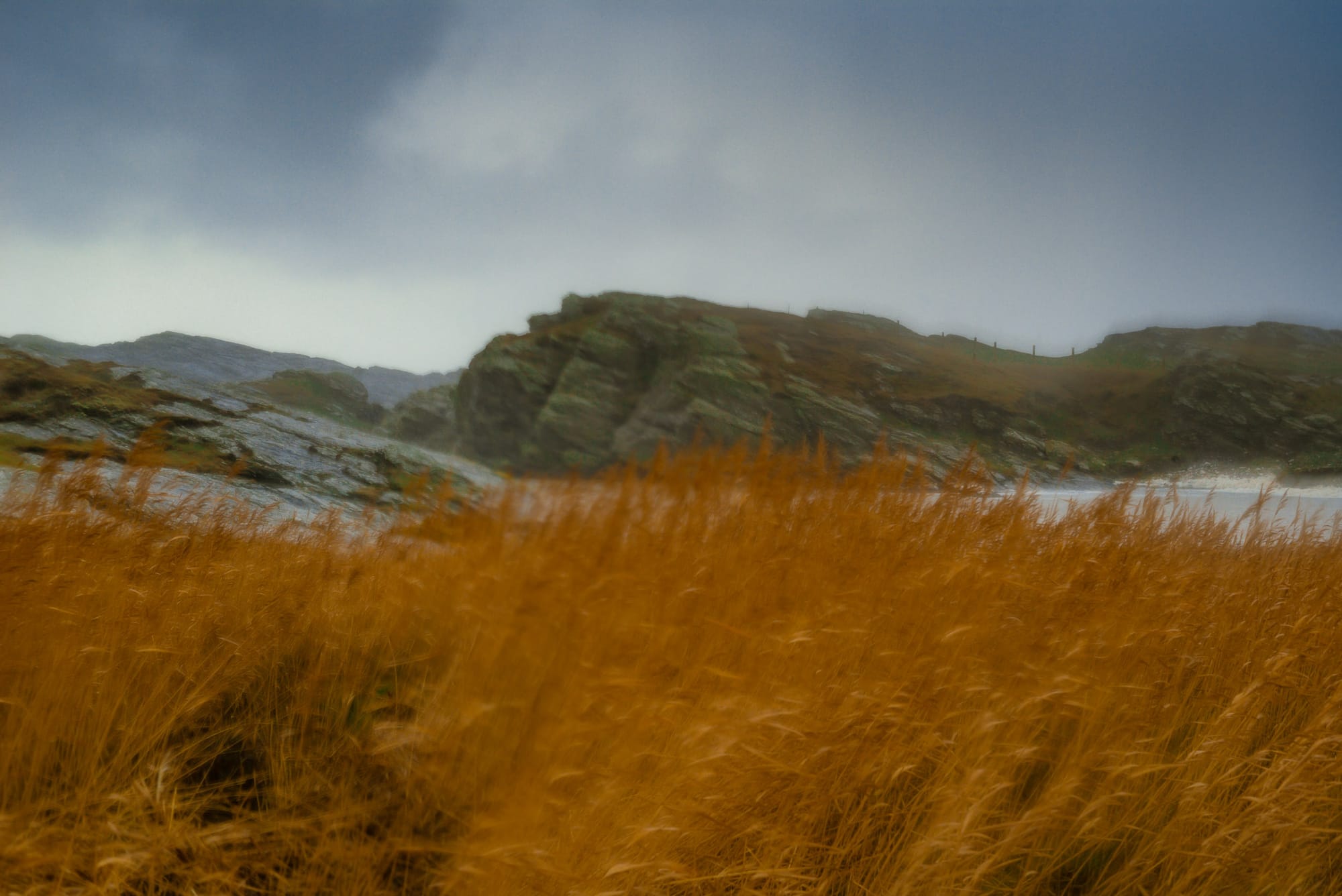 A blurred landscape shot of a field of tall, golden grass in the foreground, with rolling hills and a cloudy sky in the background.
