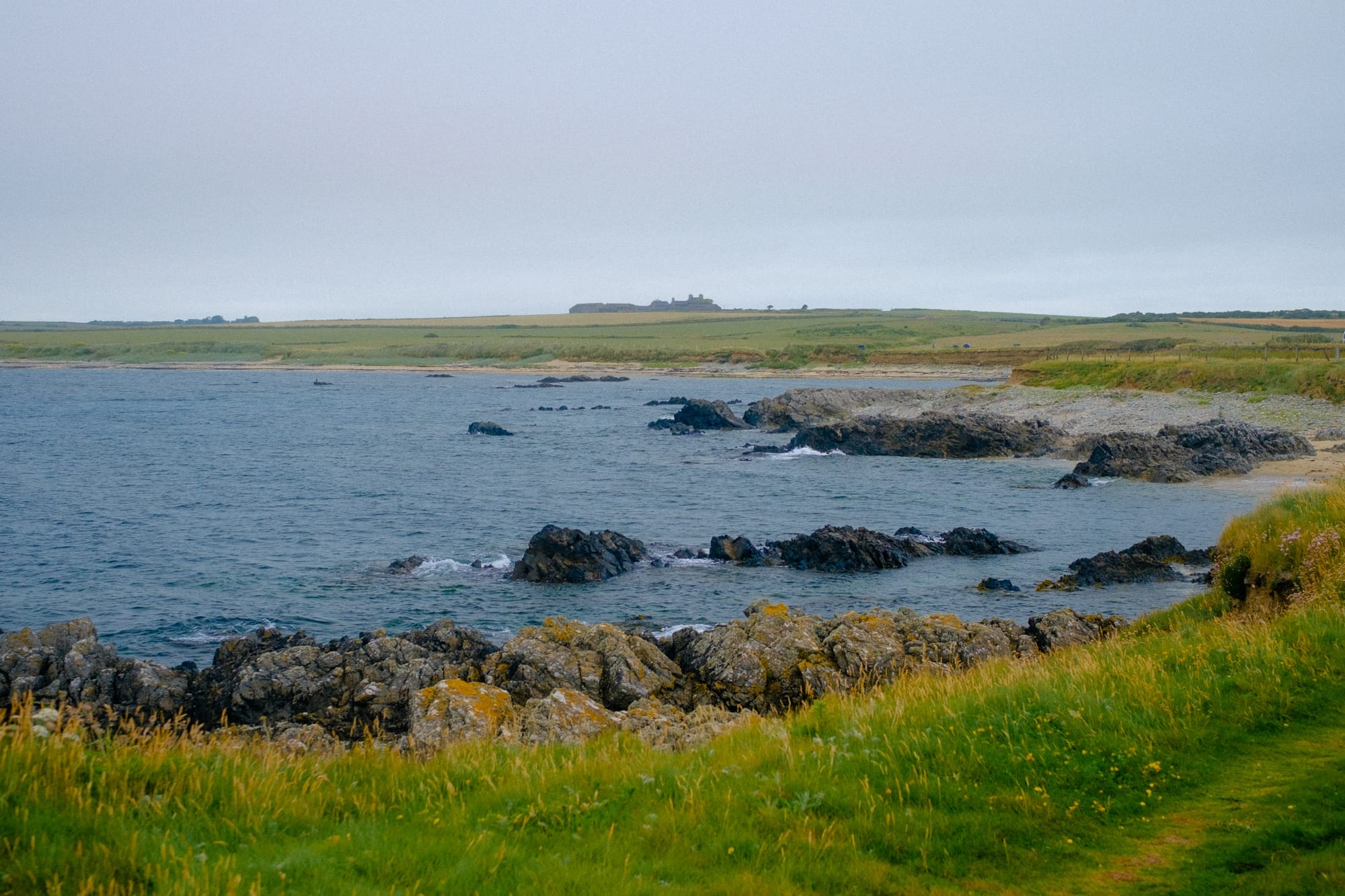 A small bay. The tide is in and hitting the dark black rocks in the water. Around the bay is green grass. In the distance is a house.