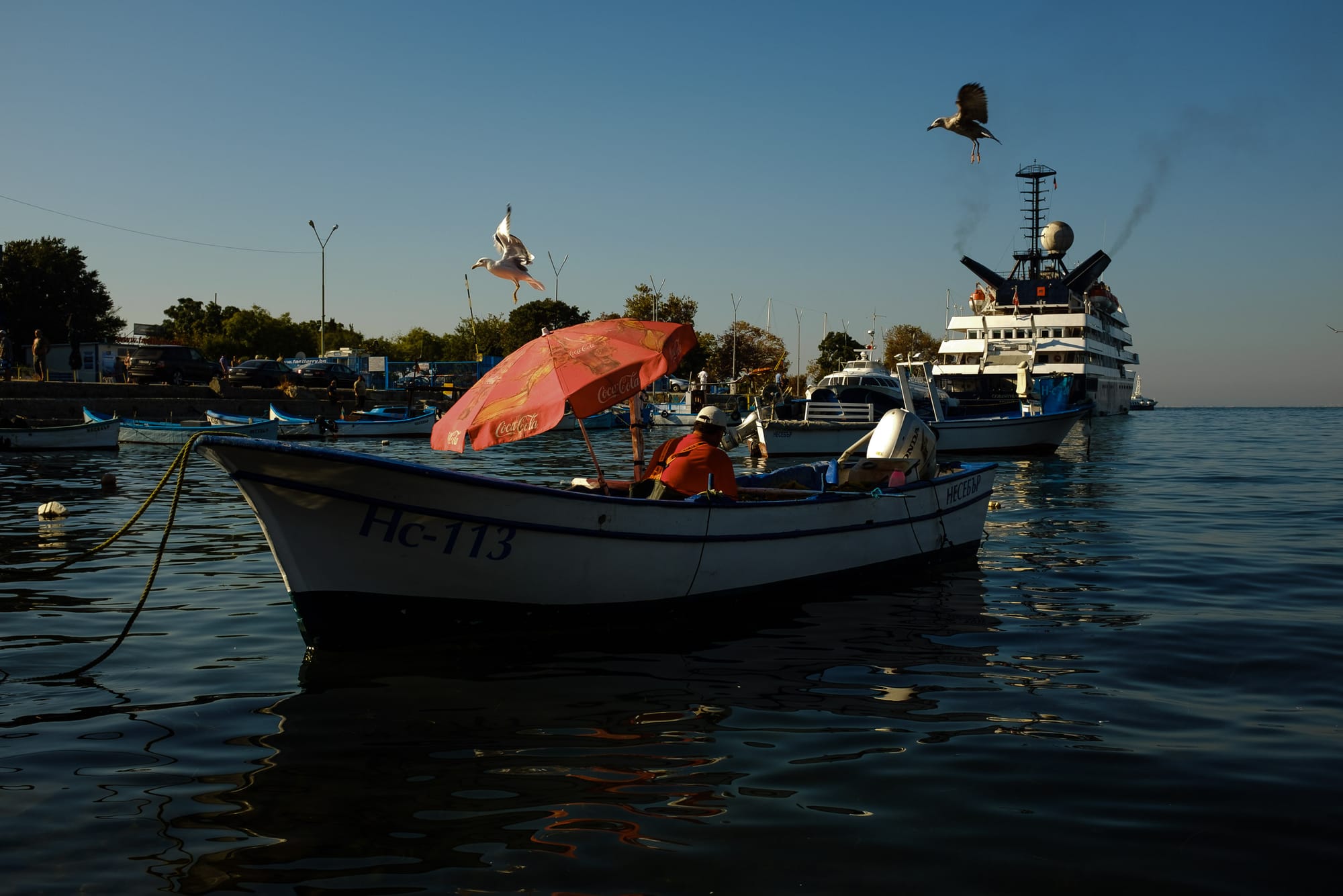 Gulls fly over a man fishing from a small boat on a clear blue sky day.
