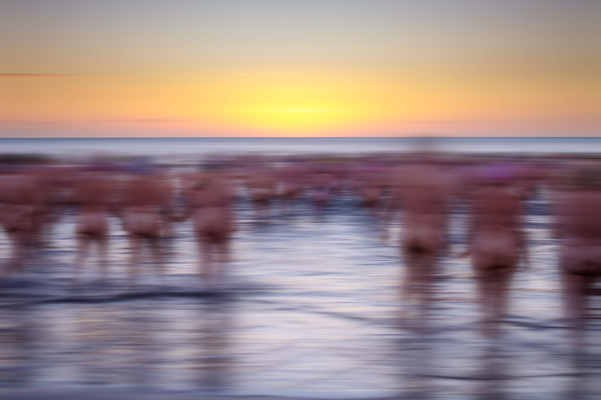 A blurry view of naked people walking into the sea as the sun comes up.