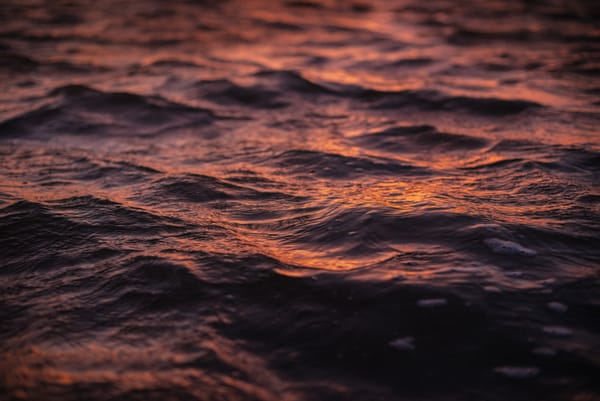 A close up of water in a river. The warm pink/orange colour of sunrise is reflected in the water.