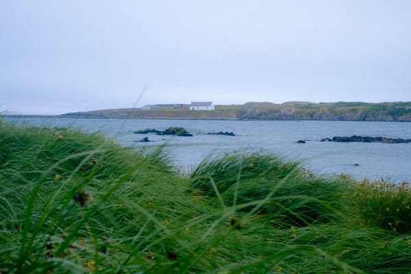 A lonley house sits on a small island in a bay. Green grass is in the foreground.