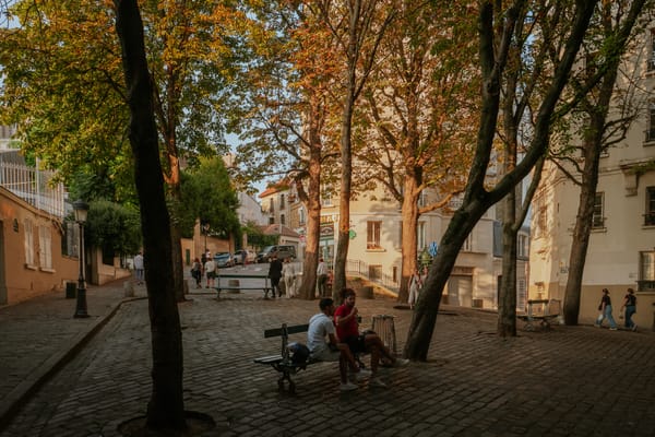 Two people sat on a park bench surrounded by large trees.
