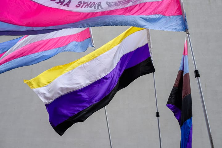 An assortment of Pride flags including non-binary, and trans.