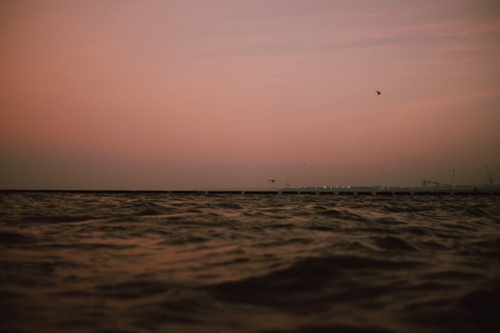 A rose gold sky over a body of water as birds fly overhead.