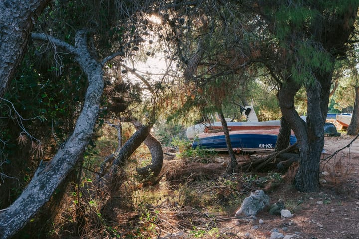 Several small boats are stored in a wooded area.