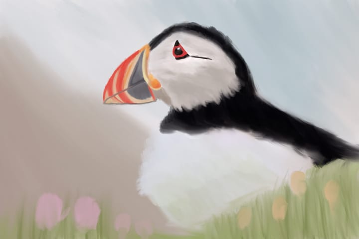 A watercolour of a puffin