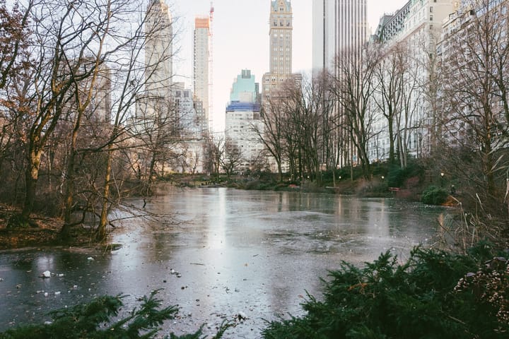 A frozen pond in Central Park, NYC, with tall buildings in the background.