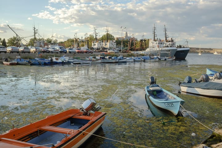 Harbour filled with boats of various sizes. There are a few clouds in the sky and green plants floating on the water.
