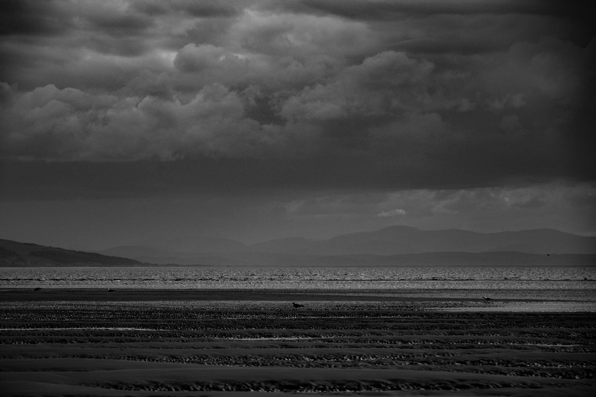A lone seagull sits on the sand with the sea in the distance. Far away there are mountains.