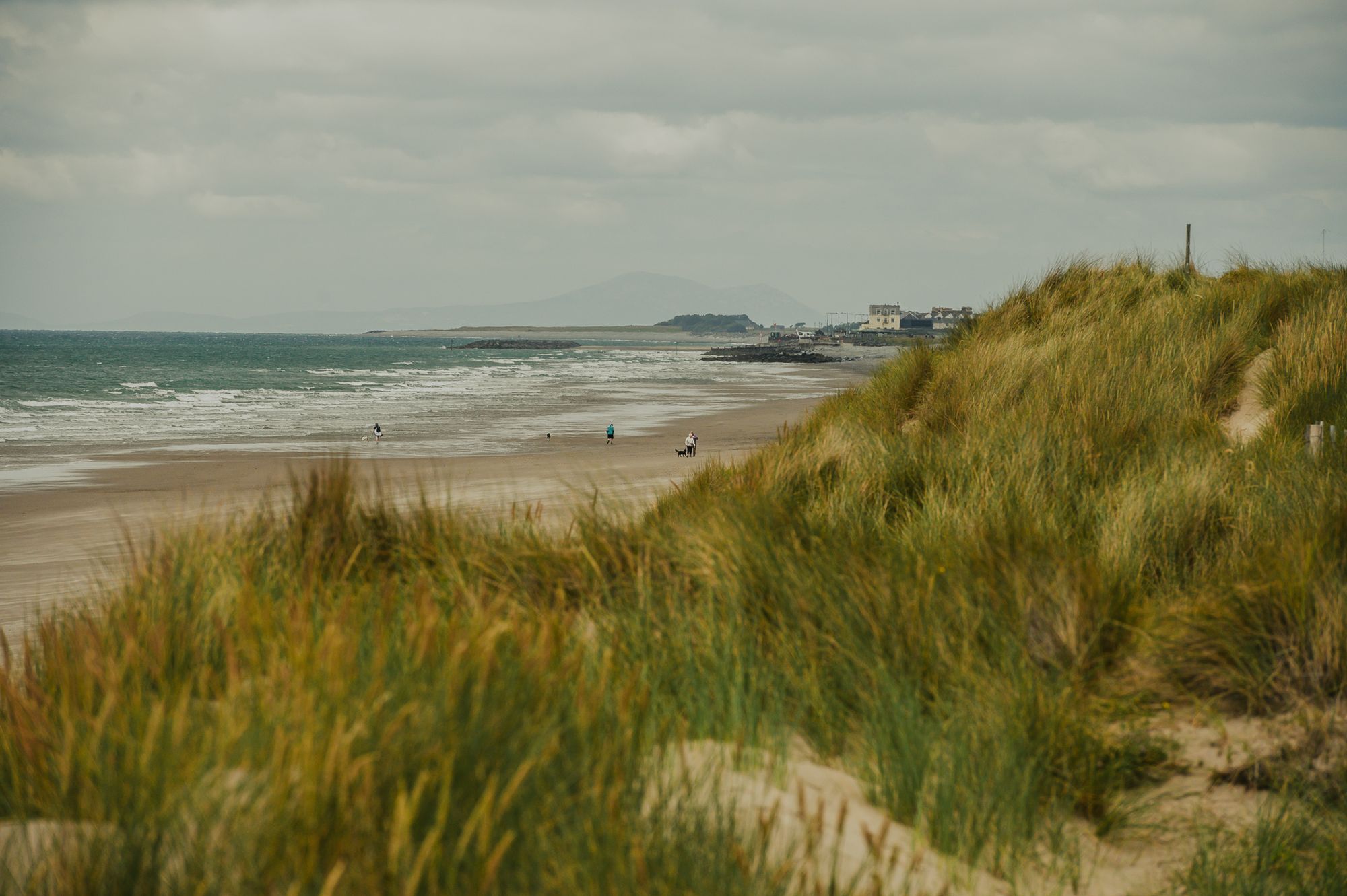 Looking through sand dunes across a beach as the tide goes out. There is a feint hint of a mountain on the horizon.