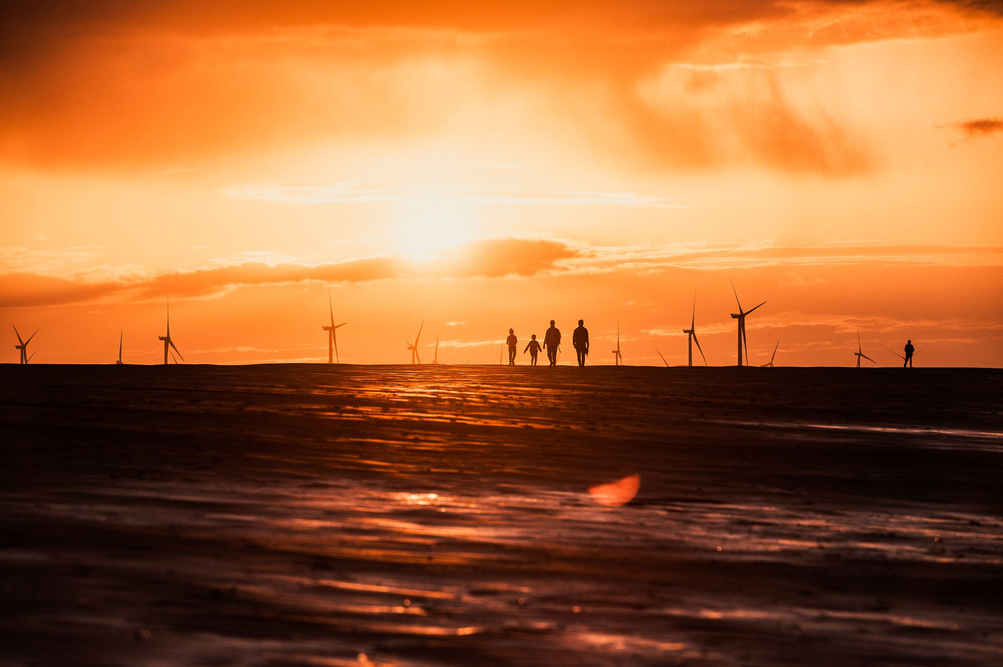People walk away from wind turbines on the horizon as the sun sets