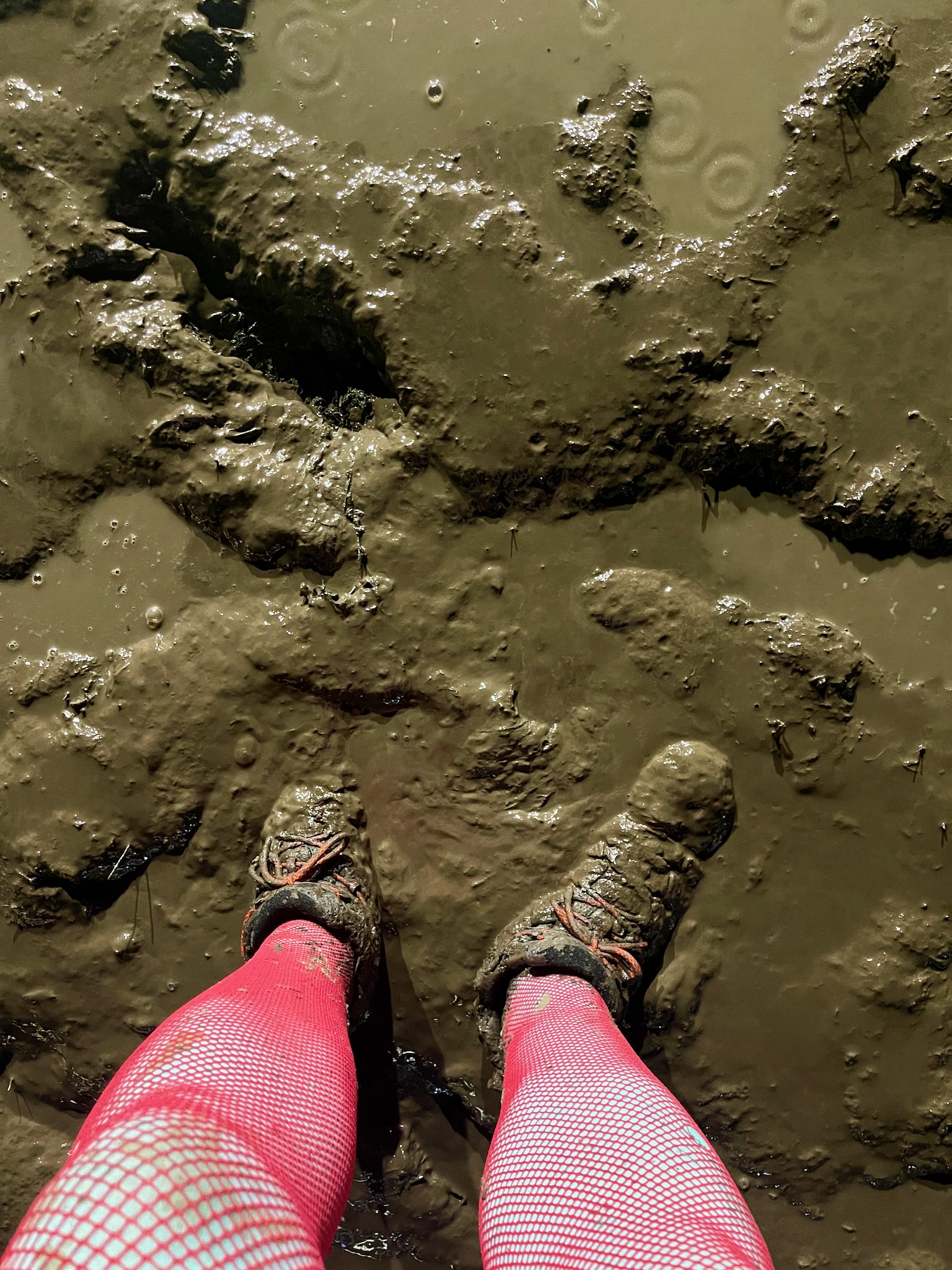 Mud soaked boots sinking into a wet muddy field. The person is wearing red fishnet tights.